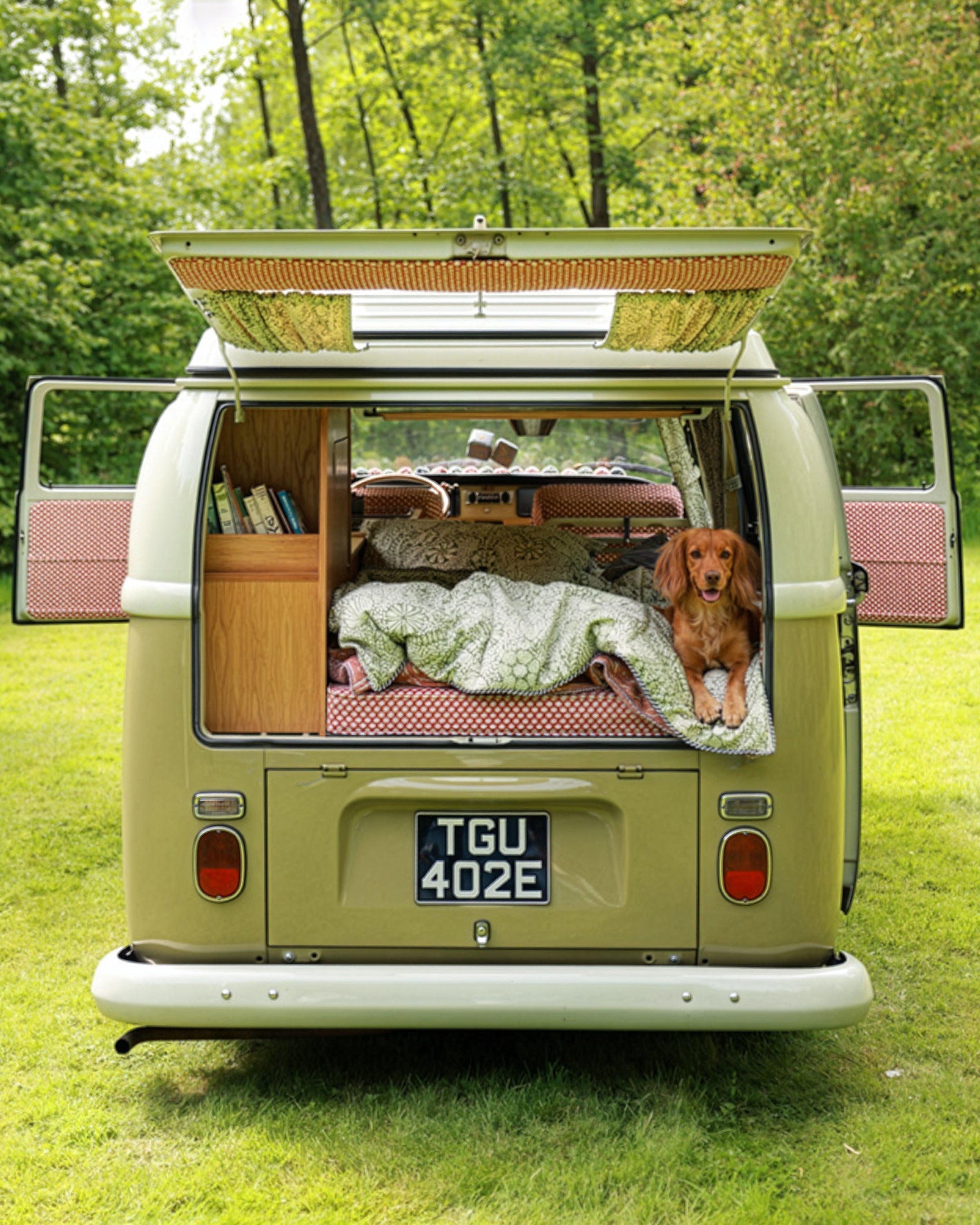 Chutney, the Camper Van