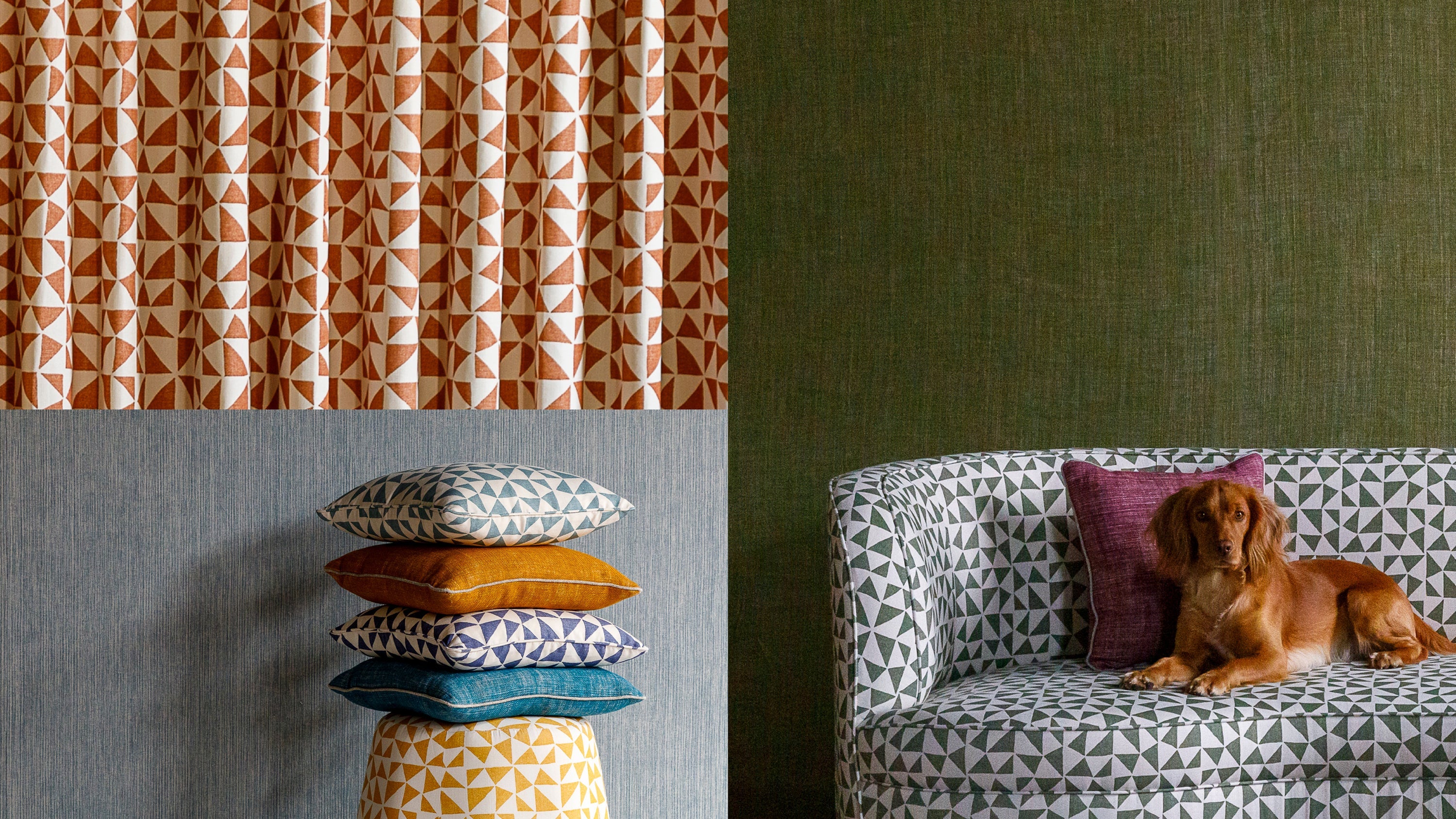 Circus Fabric