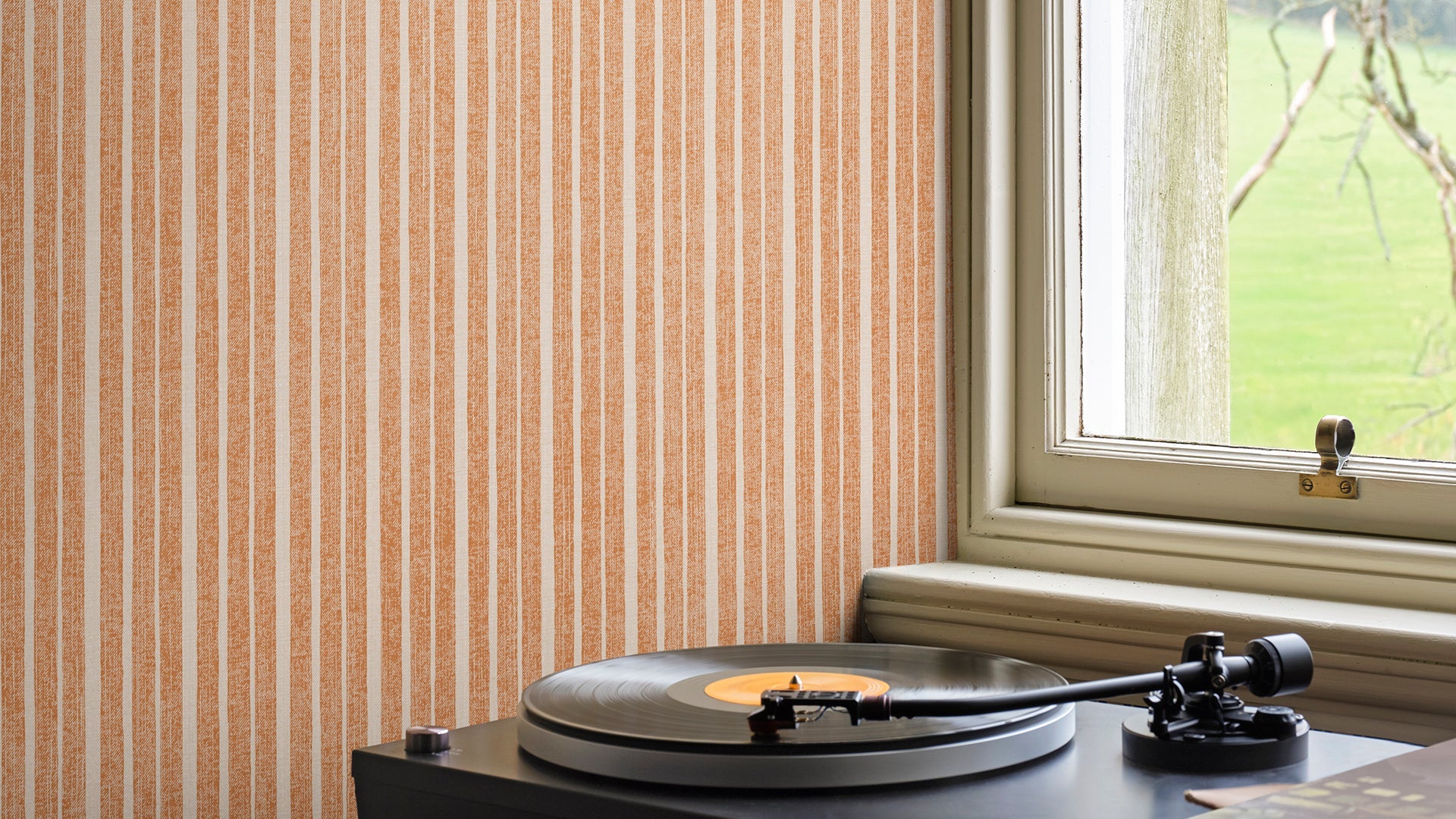 Orange Wallpaper