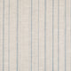 Carskiey Single Stripe Fabric 046
