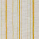 Carskiey Single Stripe Fabric Sample 013