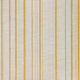 Carskiey Single Stripe Fabric 013