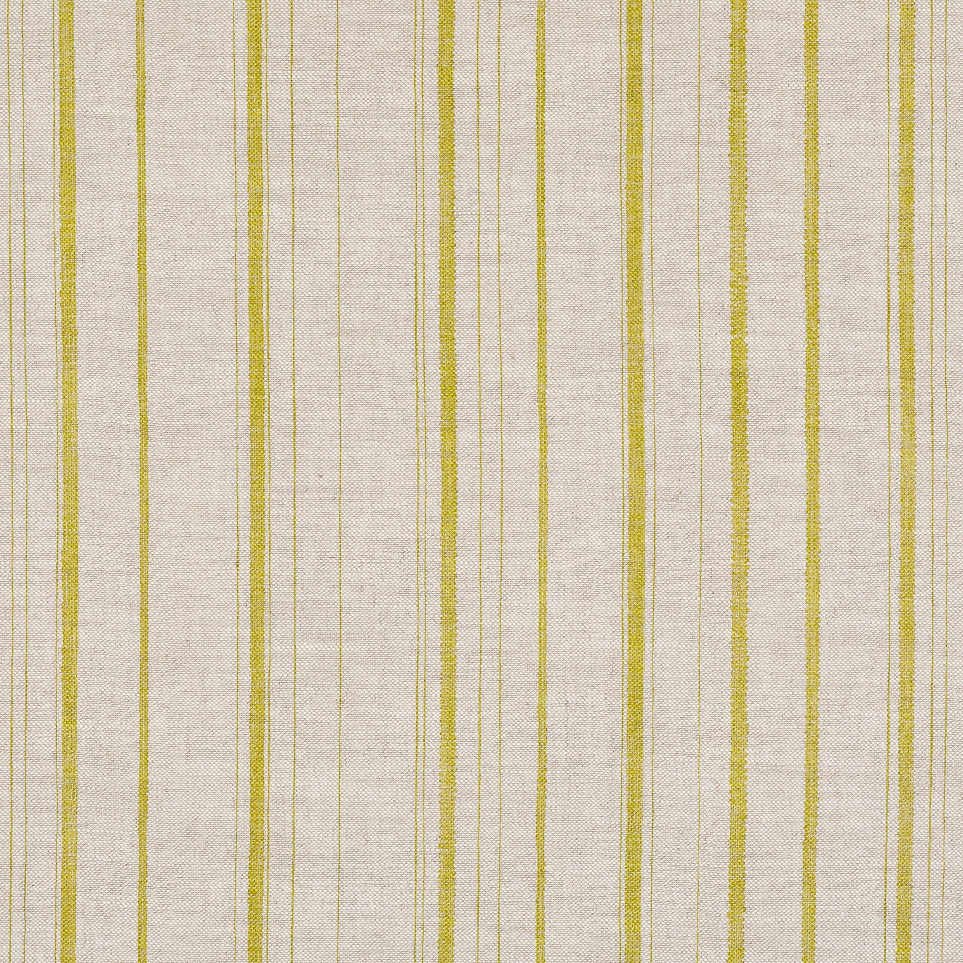 Carskiey Single Stripe Fabric 039