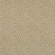 Coral Fabric 007