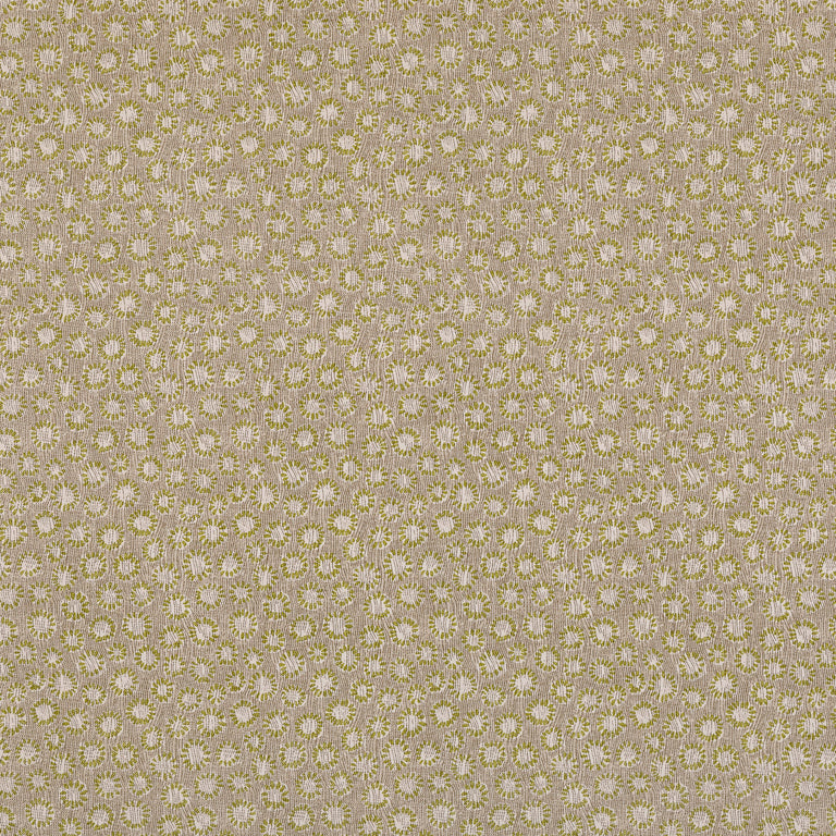 Coral Wallpaper 007