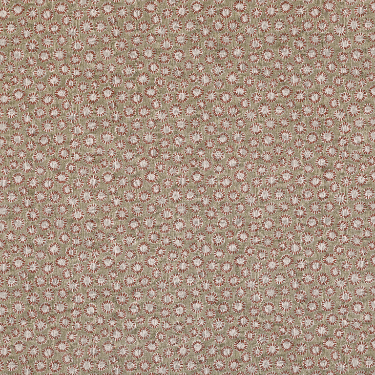 Coral Wallpaper 010