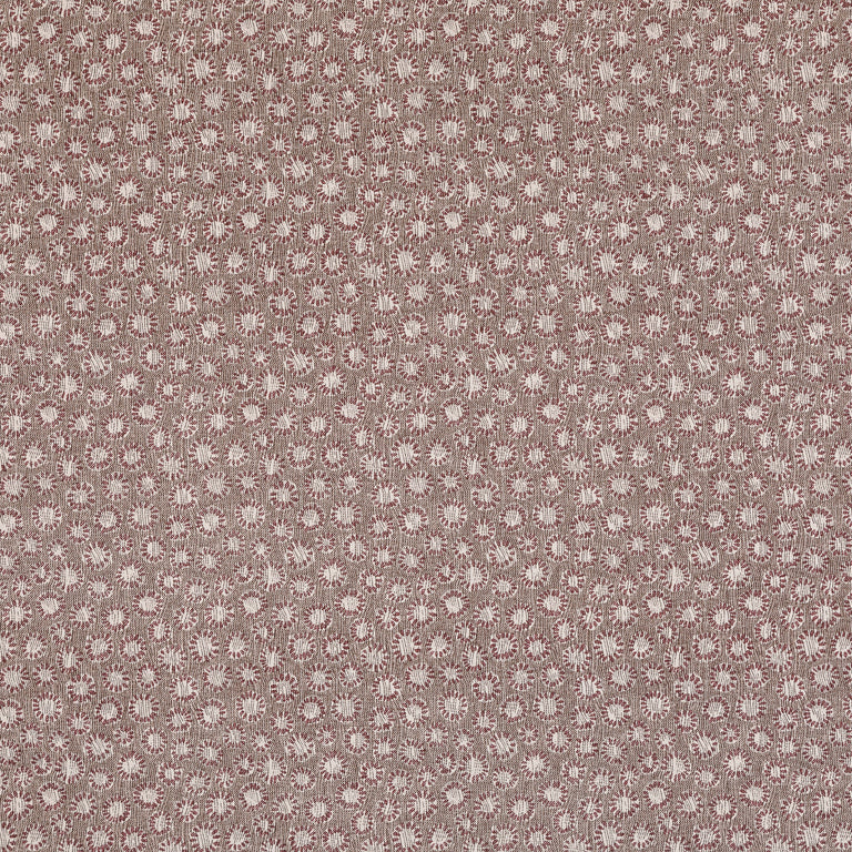 Coral Wallpaper 017