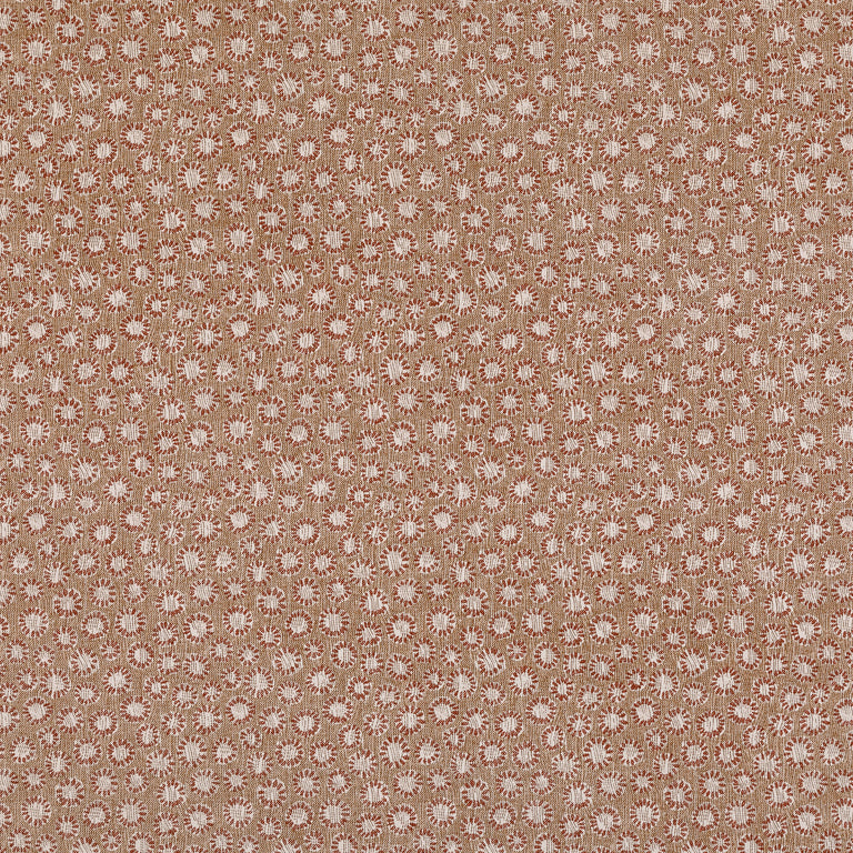 Coral Wallpaper 018