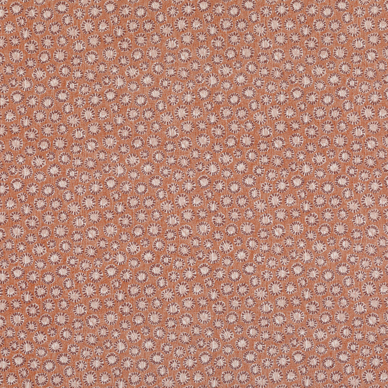 Coral Wallpaper 004
