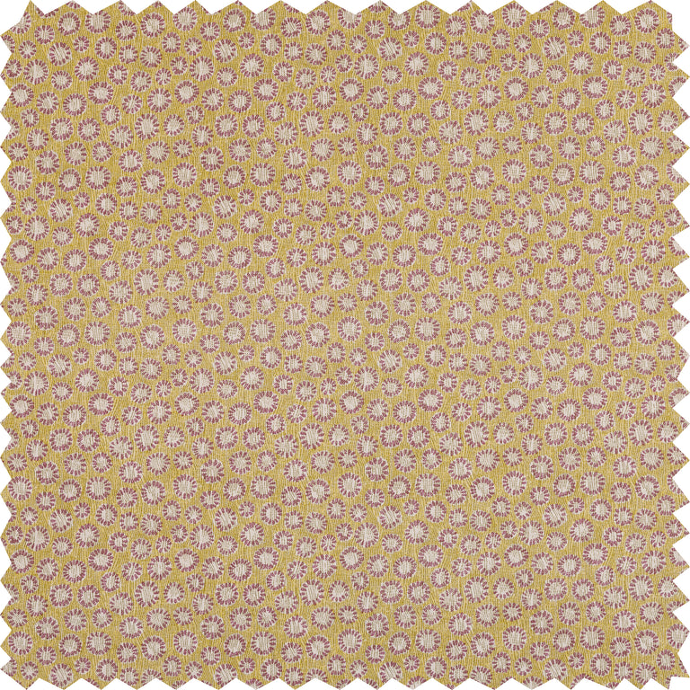 Coral Fabric 006