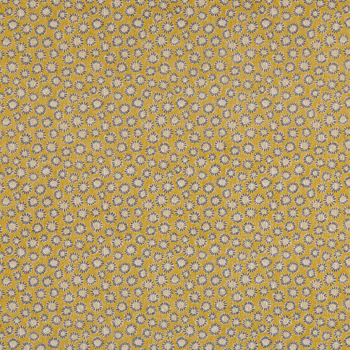 Coral Wallpaper 005