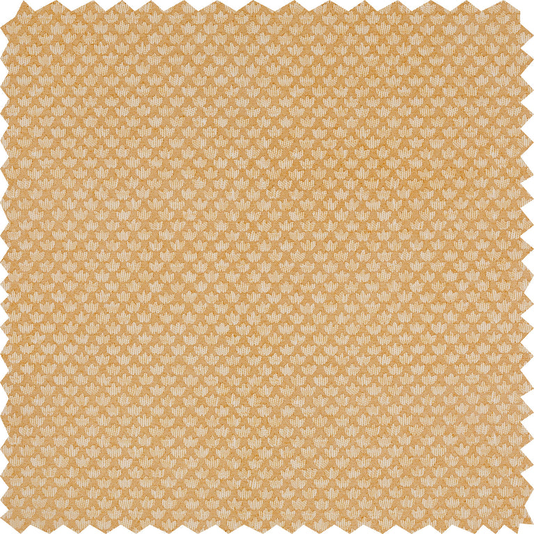 Eythorne Fabric 004