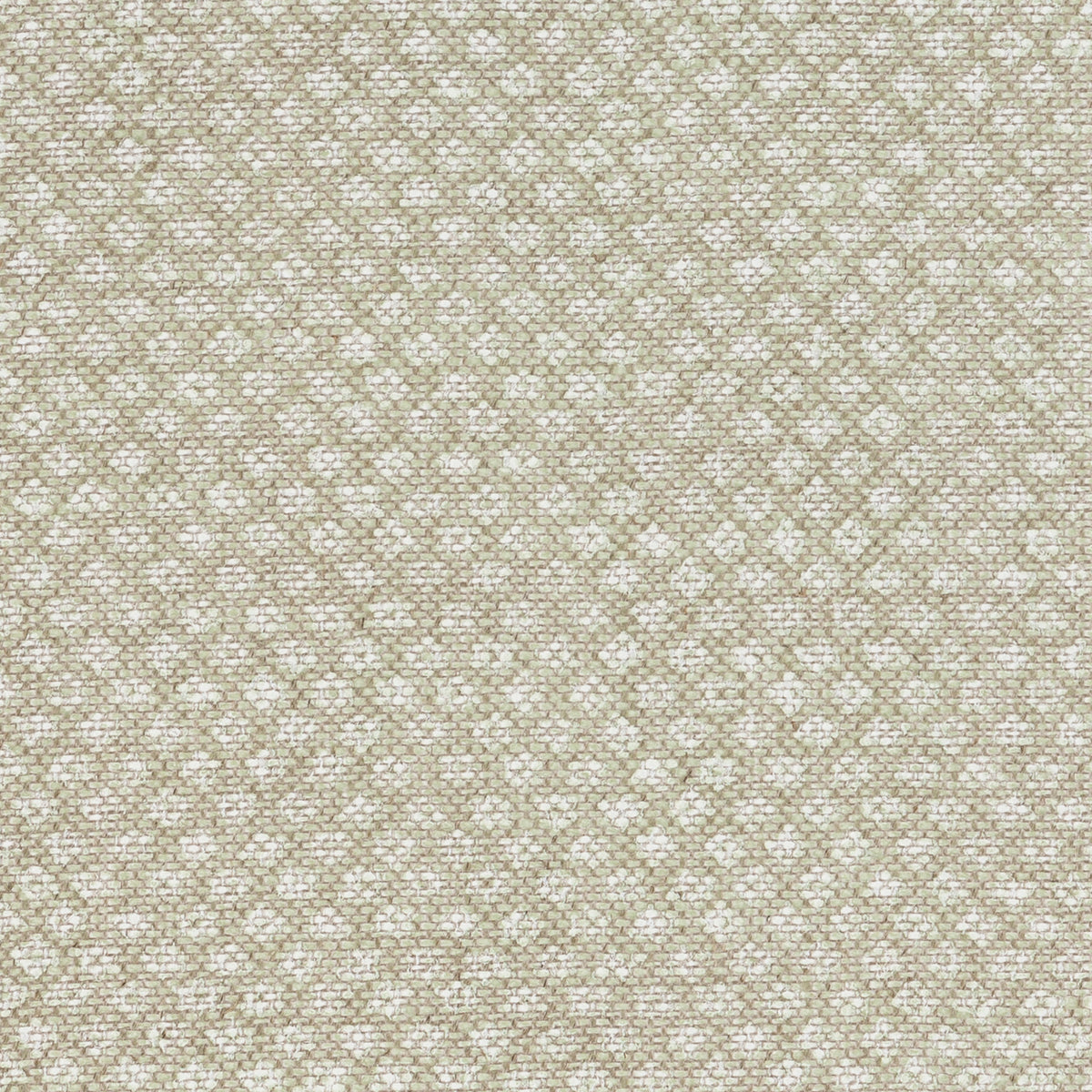Figured Fabric Sample 110