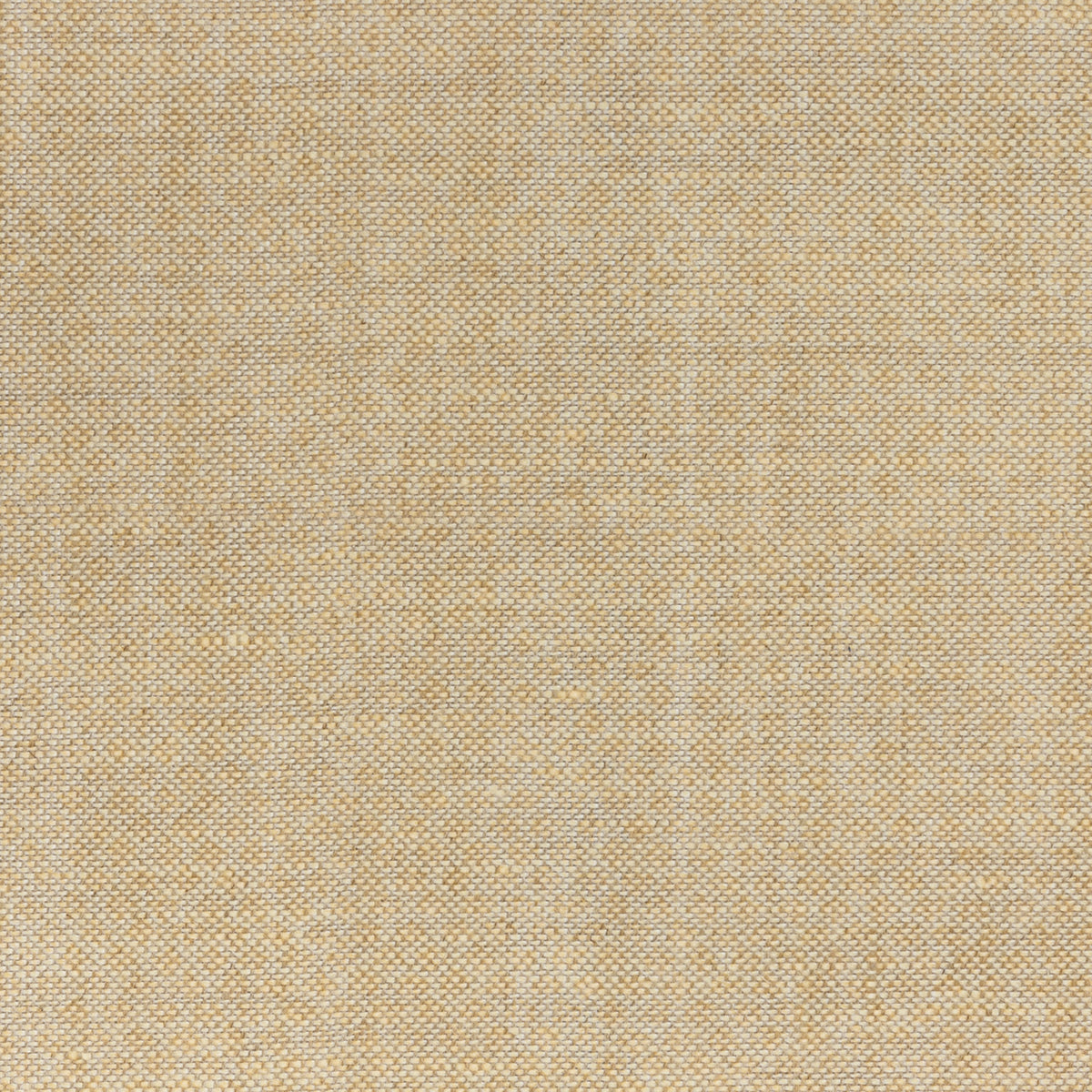 Figured Fabric Sample 068