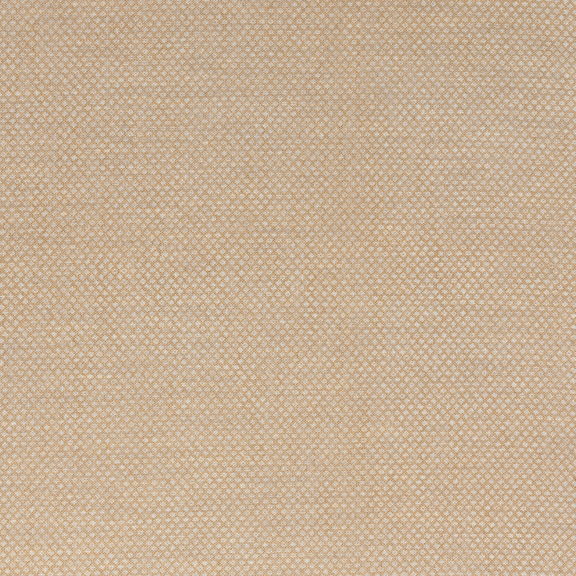 Figured Fabric 067