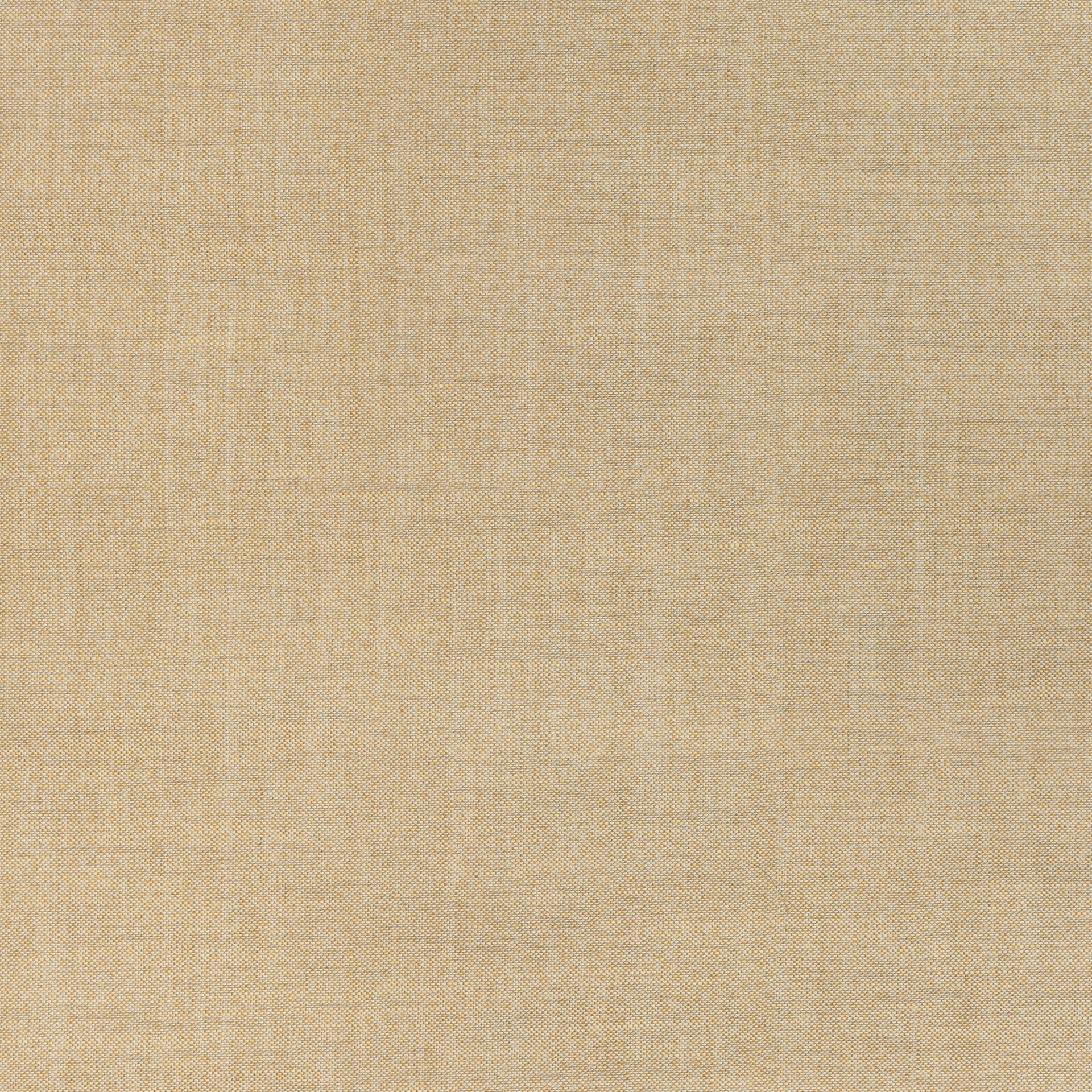 Figured Fabric 068