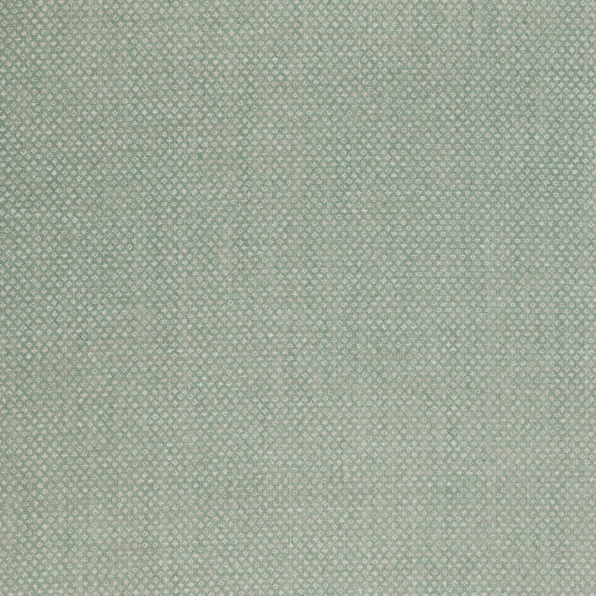 Figured Fabric 071