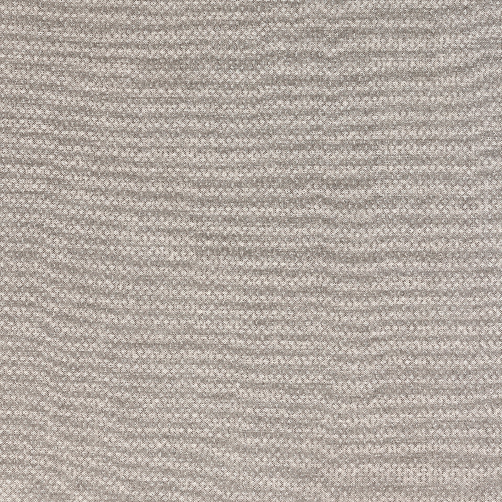 Figured Fabric 082