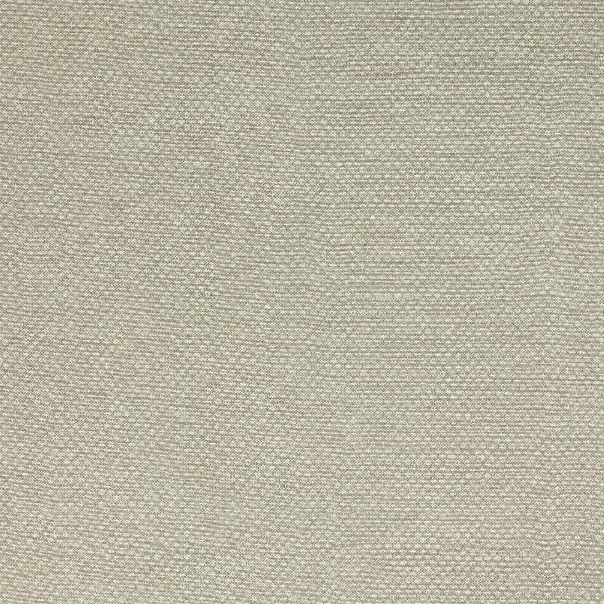 Figured Fabric 110