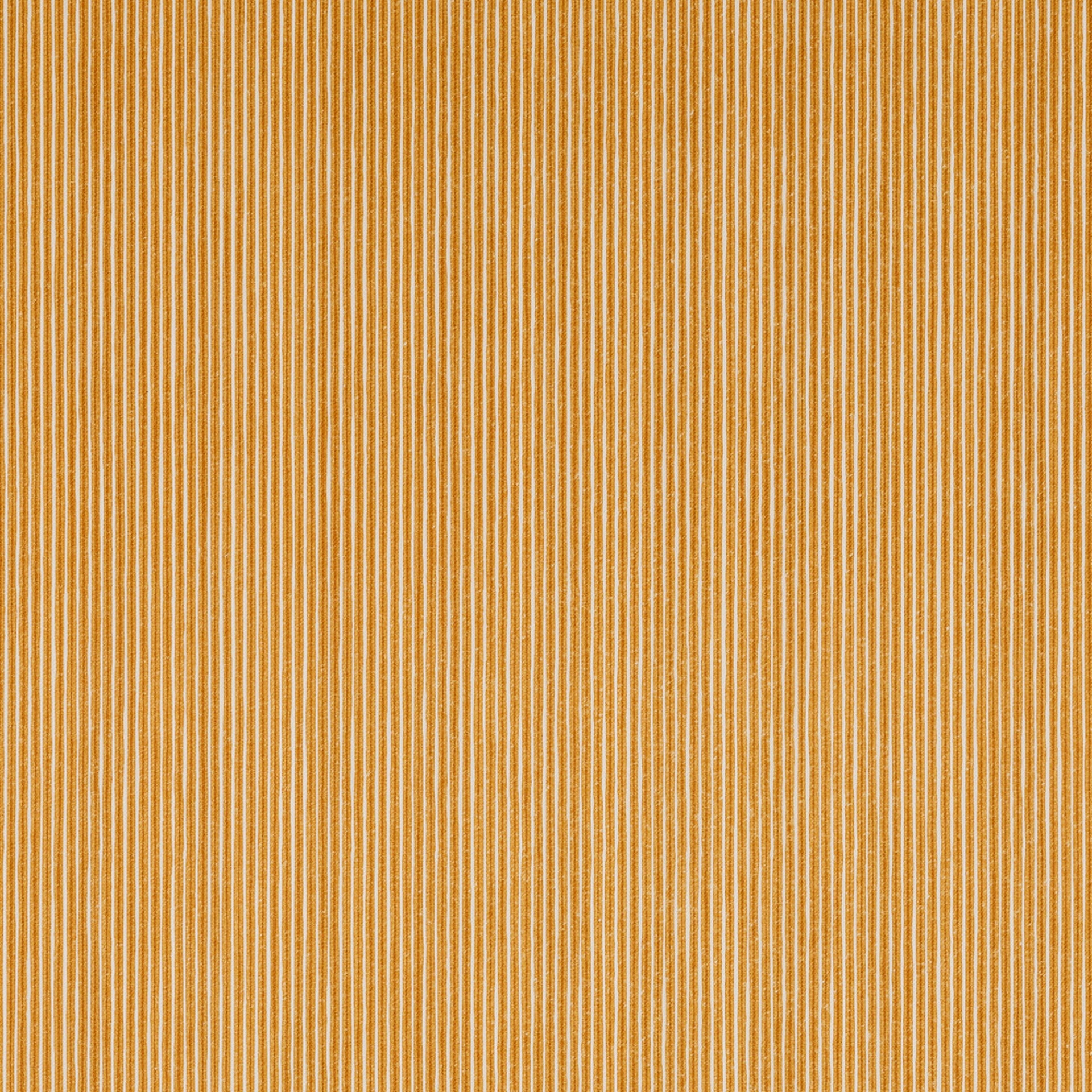 Poulton Stripe Outdoor Fabric 669