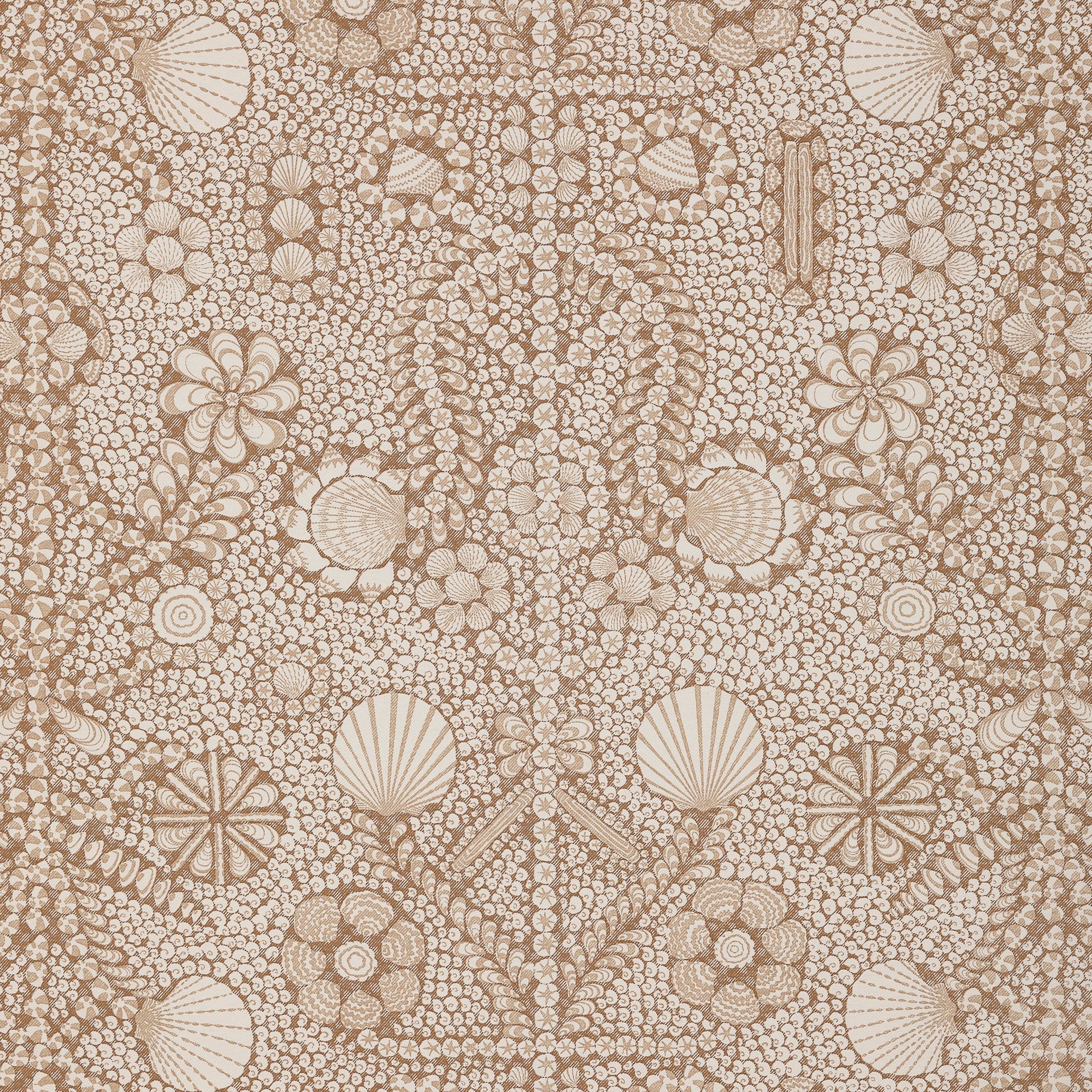 Shell Grotto Fabric 012