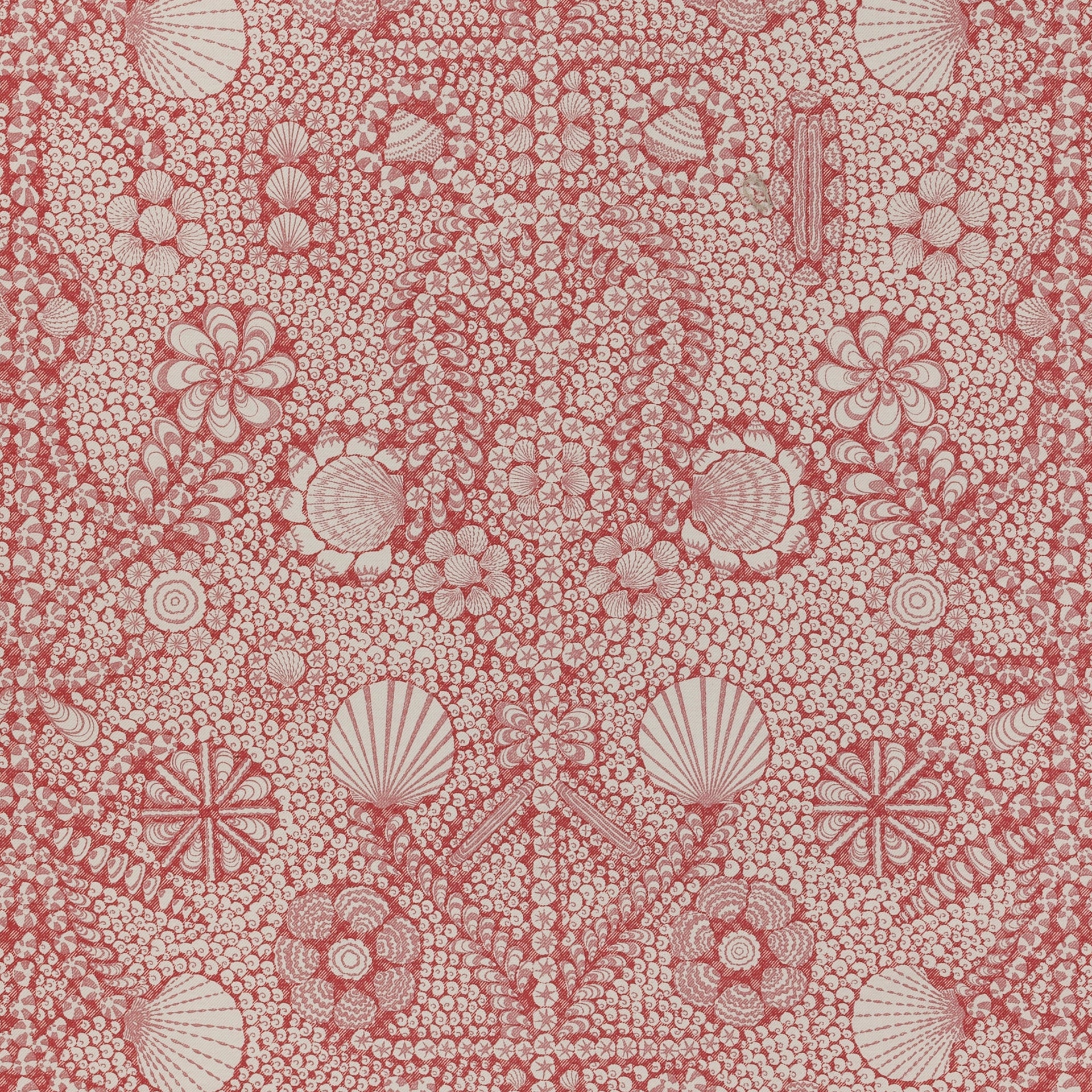 Shell Grotto Fabric 001