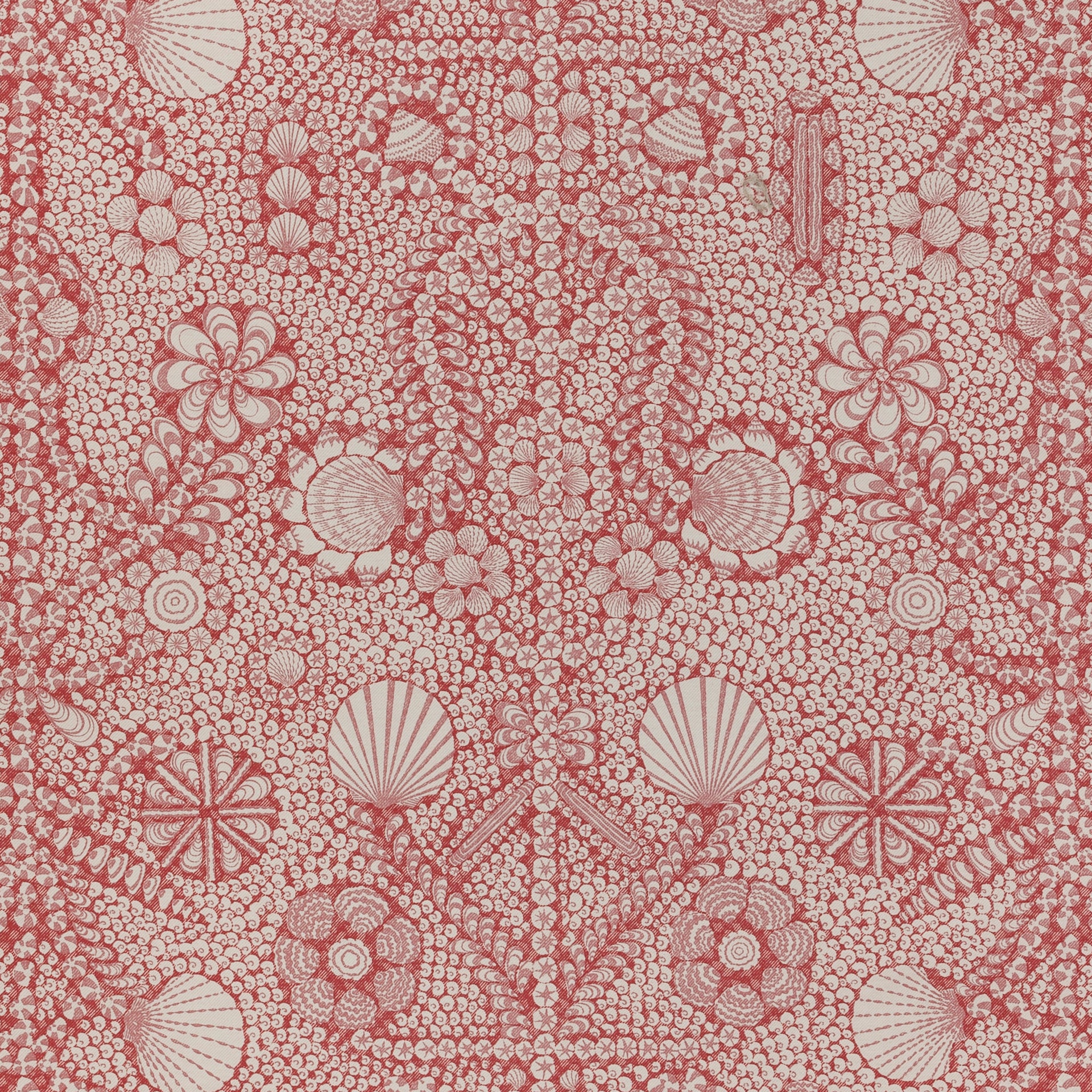 Shell Grotto Wallpaper 001