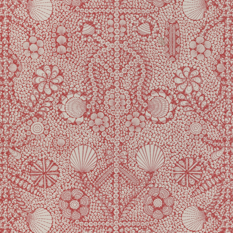 Shell Grotto Wallpaper 001