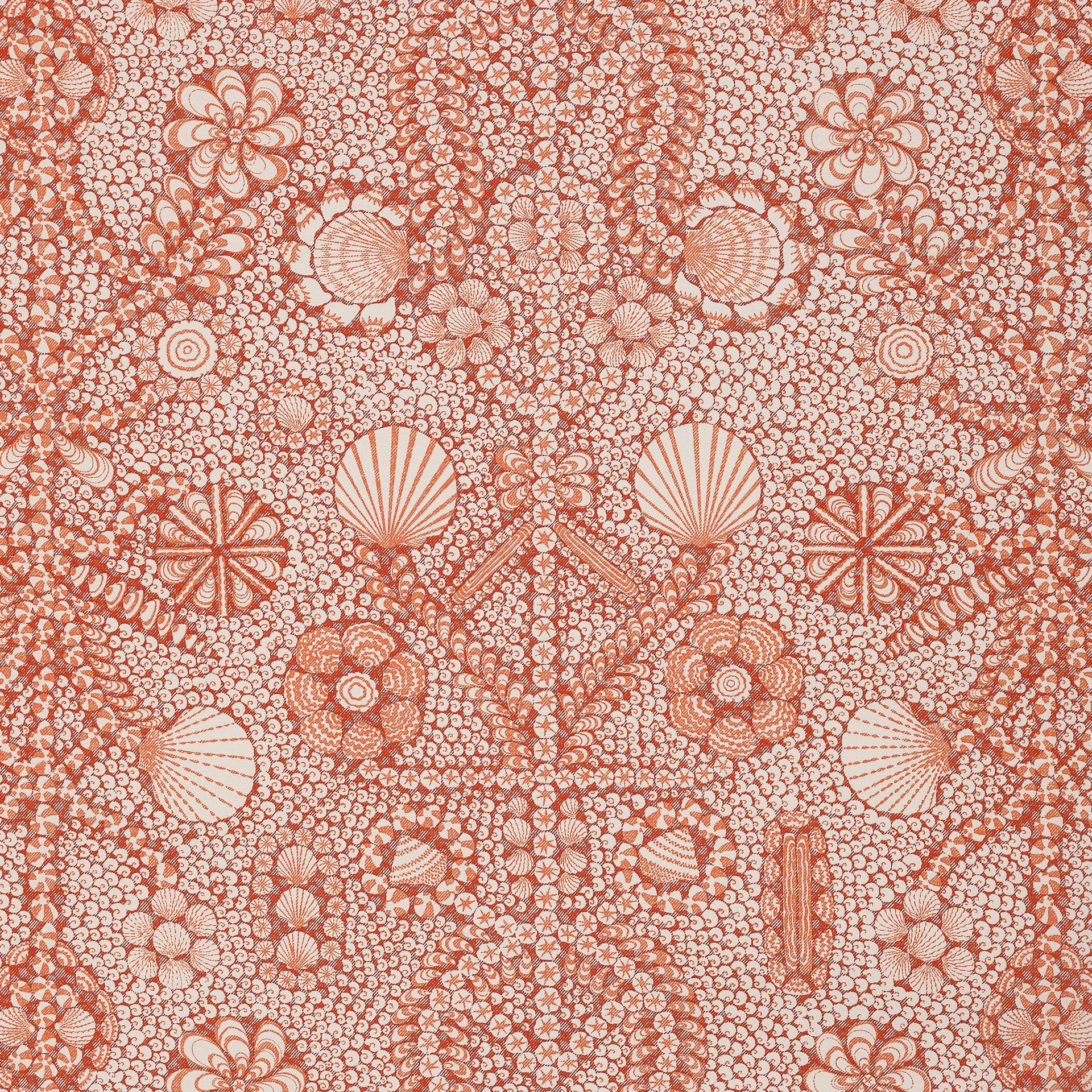 Shell Grotto Wallpaper 007