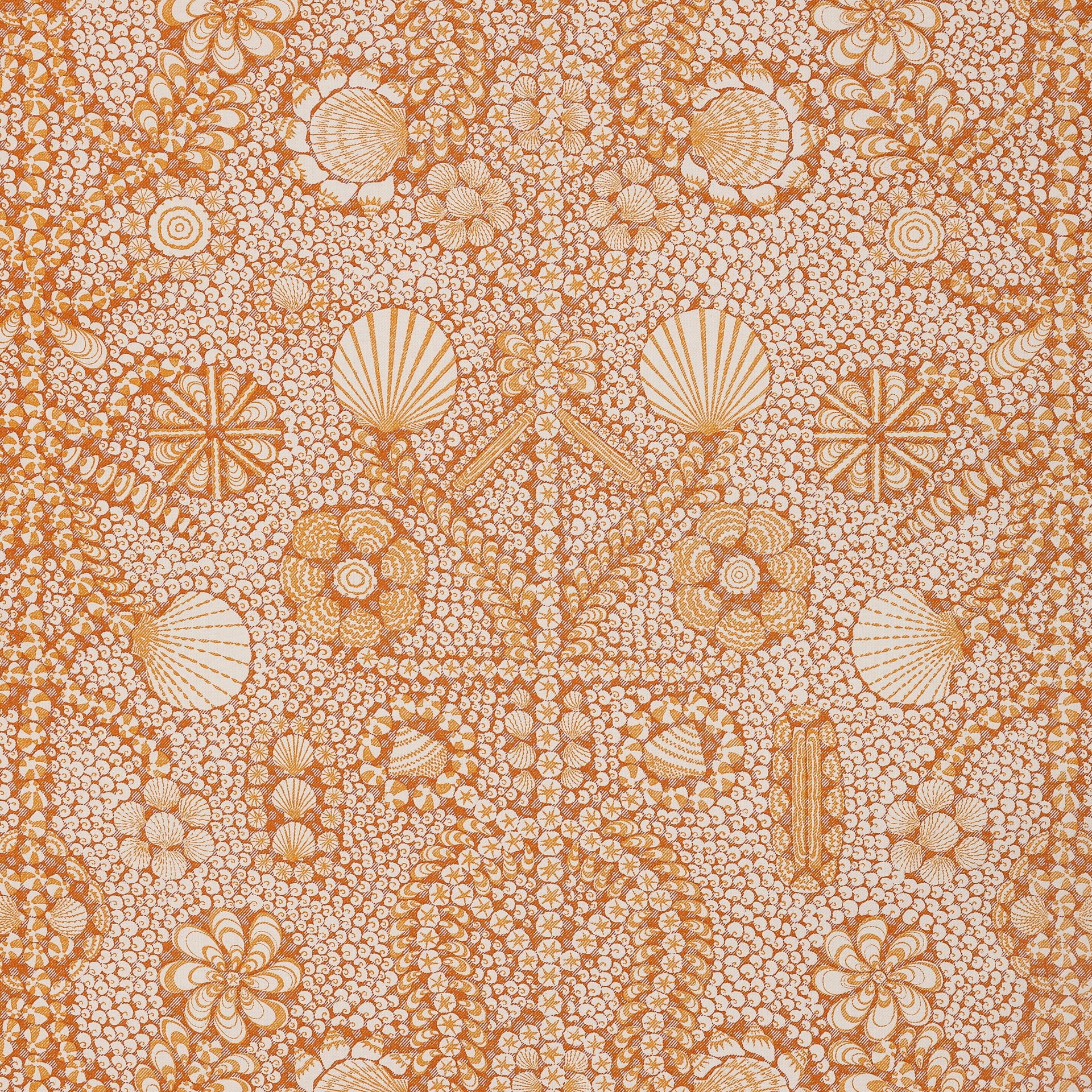 Shell Grotto Wallpaper 008