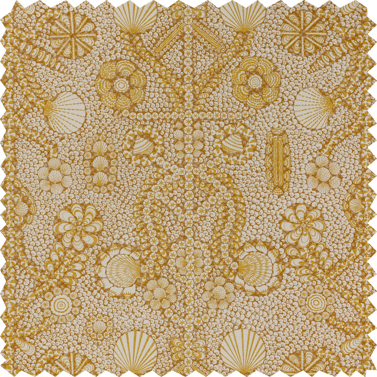 Shell Grotto Fabric 002