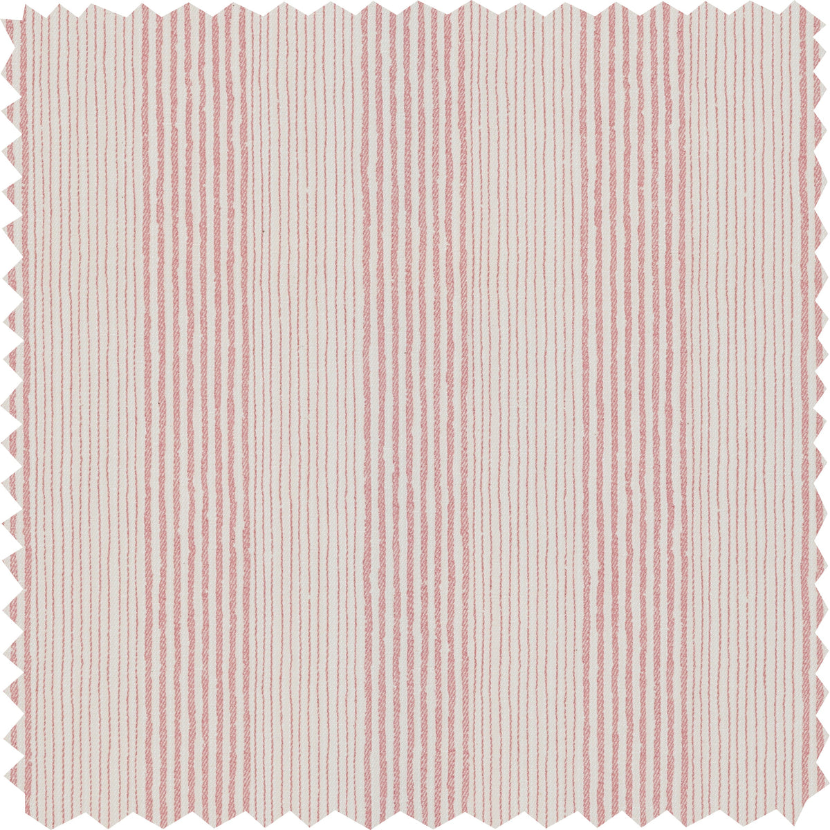 Ticking Fabric Sample 004