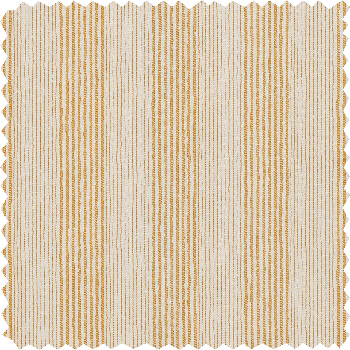 Ticking Fabric Sample 006